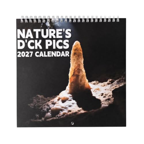 Calendario de pared 2027 y planificador decorativo ideal para organizar la oficina familiar