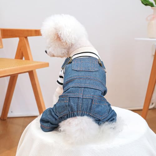 Peto vaquero para perros pequeños color denim miniatura 2