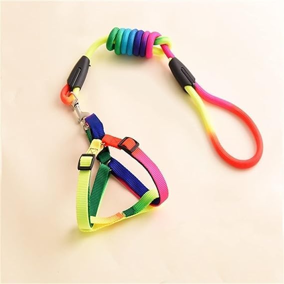 Dog Trust Dog Pet Puppy Cat Kitty Adjustable Nylon Leash Rainbow Dog Chest Straps Chain Seven Color Traction Thoracic Dorsal Suits Dog Rope Dogs Leash Chain Size 10mm (B0CNVY6SG9) Amazon Price History, Amazon Price Tracker