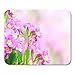 Produktbild Mouse pad green schöne frühlingsblumen von lila farbe beauty floral mousepad für notebooks, Desktop-computer mausmatten, Büromaterial