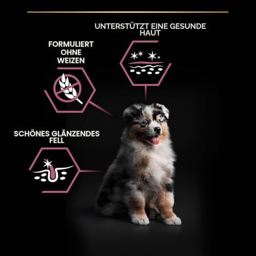 PRO PLAN Medium Puppy Sensitive Skin, Welpenfutter trocken, 1x3kg – Ansicht 5