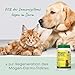 cdVet Magenschutz 100g - Pulver zur Förderung der Gesundheit von Magen und Darm für Hunde und Katzen