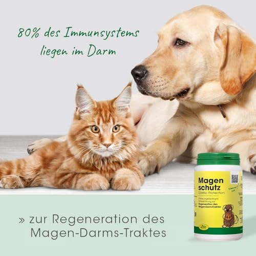 cdVet Magenschutz 100g - Pulver zur Förderung der Gesundheit von Magen und Darm für Hunde und Katzen