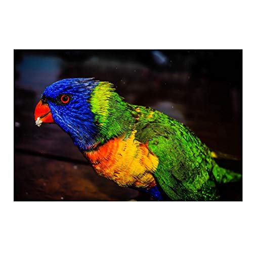 Mosaïque diamant oiseau 80x220 broderie strass complet loisir créatif