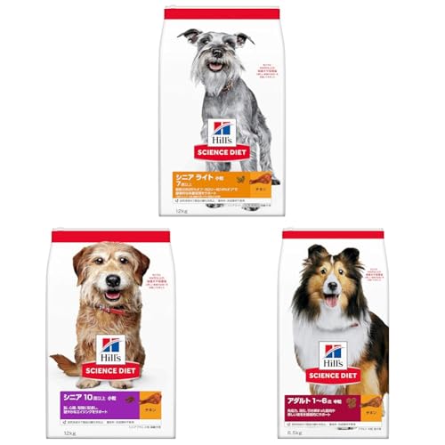 yZbgzqY TCGX_CGbg hbOt[h VjA Cg  7Έȏ `L 12s p hC 얞 + qY TCGX_CGbg hbOt[h VjAvX  10Έȏ `L 12s p hC + qY 