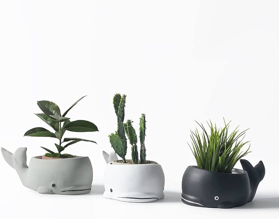 クジラデザインのテラコッタ鉢 クジラデザインのテラコッタ鉢 クジラ