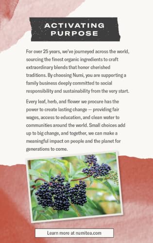 Image of Numi Organic Immune Support Tea, 16 Herbal Tea Bags, Caffeine Free