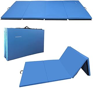 BalanceFrom GoGym All-Purpose 4'x10'x2