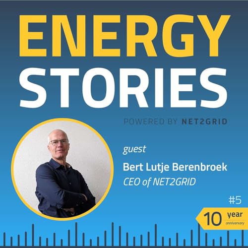 10 Lessons From 10 Years of NET2GRID Podcast Por  arte de portada