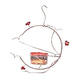 Geschenke für Kolibri-Liebhaber: Bitte achten Sie beim Öffnen des Glases und des Deckels. Es ist sehr wichtig, einen Futterspender zu haben, der leicht gereinigt werden kann, um die Kolibris gesund zu halten.