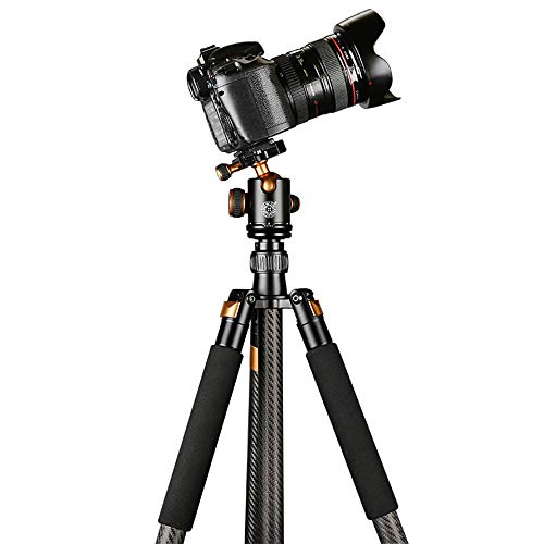 QIXI Außenkamerastativ, 4-teiliges Carbon Traveller Kamerastativ mit Einbeinstativ und 360 ° Panoramakugelkopf für… – Bild 4