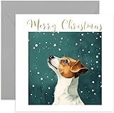 ✨ Hitos especiales: encuentra la tarjeta de felicitación perfecta para familiares y amigos. Tenemos diseños para cualquier ocasión.