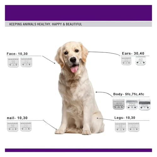 Tondeuse à lame détachable pour chien et chat outil de toilettage poils longs taille 10