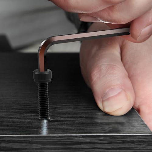 100 Stück M3×5 Schrauben,Zylinderkopfschrauben mit Innensechskant,Zylinderschrauben mit 1 Innensechskantschlüssel Vollgewinde aus Kohlenstoffstahl (schwarz) für Befestigungselemente (M3, Länge:5mm)