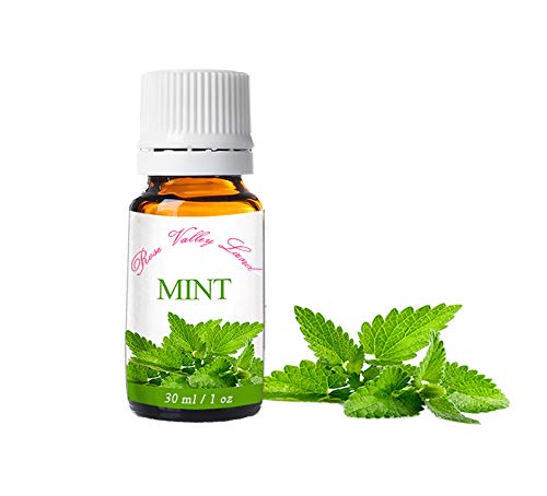 Mint Essential Oil - Refreshes and energizes the spirit and body and reduces stress (30 ml / 1 oz)