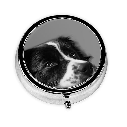 {[_[R[q ^ ܓ ^b` RpNg gїp P[X ώ ۂ  w ZT[[ [P[X