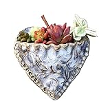 Planting Succulent Heart Pocket Planter, Succulent Pots, Face Succulent Plants in pots, Artificial...