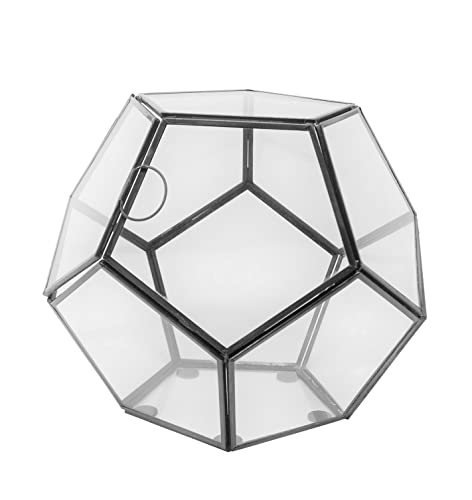 LaLe Living NANI Terrarium aus Glas für Sukkulenten oder Windlicht aus Eisen in Schwarz, 20 x 26 cm geometrische Form kleines Indoor Gewächshaus mit Deckel zum öffnen Windlicht mit Glas für Kerzen Cover