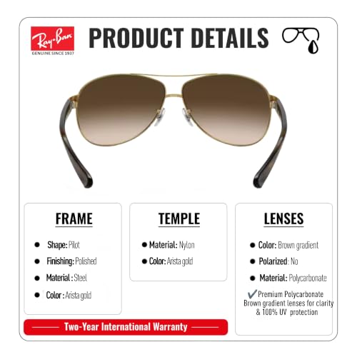 Image of Ray-Ban RB3386 Pilot Shape Sunglasses with Official Eyewear Kit