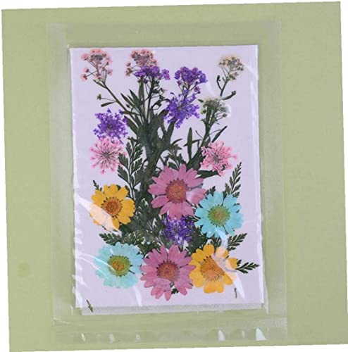 PULABOVárias flores secas prensadas para artesanato scrapbook resina joias artesanato faz capa de te