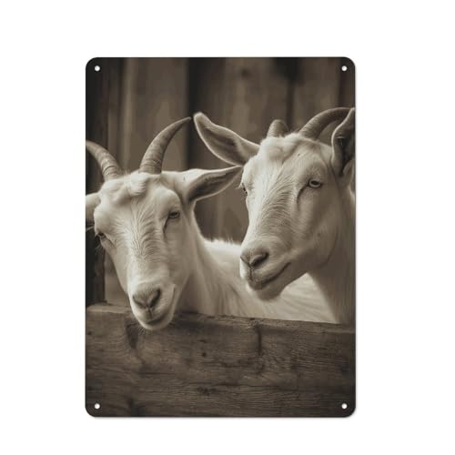 Peintures en métal de chèvre blanche pour bistrot