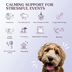 Fera Pets Calming Supplement for Dogs & Cats – Vet Created – GABA & Ashwagandha Supplements Help Cat & Dog Anxiety, Stress or Hyperactivity -60 Scoops