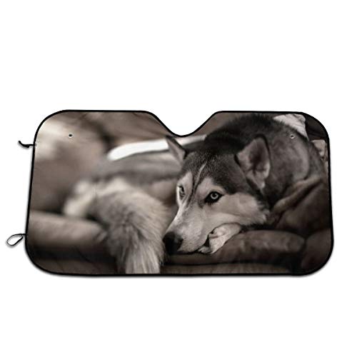 Husky Car Windshield Sun Shade Window Windscreen Cover Universal Fit Car UV Ray Sun and Heat Visor Protection (51.2