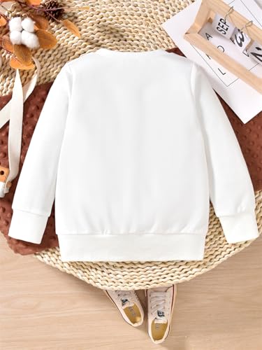 Moletom infantil para meninos de 2 anos de idade Im Two Cute Sweatshirt para meninos de 2 anos, Bran