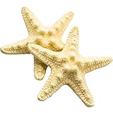 Starfish Hair Clip Seashell Shell Hair Clips 2 Pack Resin Sea Star Hair Clips Mermaid Hair Clip Acce