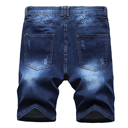 Slatiom Summer Men's Denim Short Jeans Casual Slim Fit Thin Cotton Embroidered Shorts Male (Color : C, Size : 29Code) #TOP1