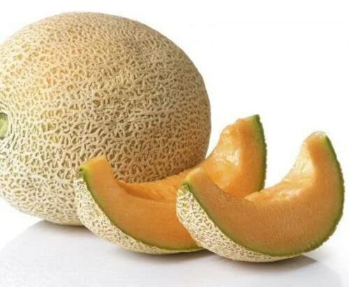 Melon Cantaloupe Hales Best Jumbo