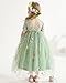 DeeFant Flower Girl Lace Back V-Neck Dress Full-Length Floral Embroidered Toddler Tutu Tulle Dresses for Girls