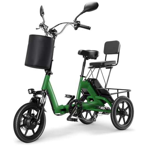 3-Wheel Mobility Scooter, 300 LBS Capacity, Dual Seat, 55.9