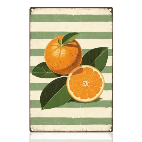 DOODLREAM Plaque en métal orange rétro - Décoration murale en métal - Motif rayures de fruits - Pour cuisine, maison, restaurant, magasin, cave, club, cadeau - 20 x 30 cm