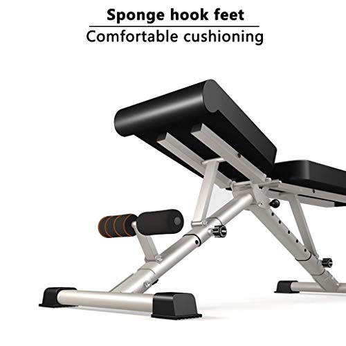 COLOM Strength Training Gym Folding Weight Bench, Adjustable Weight Lifting Bench for Full Body Workout, Home Gym Physionics Incline Decline Bench for Lifting Fitness Bench Press Bar and Weights