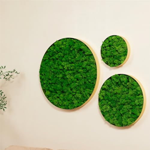 GOWE Round Framed Moss Wall Decor, only The Large pc
