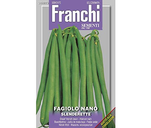 SEMI FAGIOLO NANO SLENDERETTE FRANCHI SEMENTI