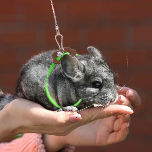 Image of 2 Pack Adjustable Hamster Leash Harness for Harness for Ferret Baby Rabbit Hamster Rat Mouse Leash Lead with Bell (Green)