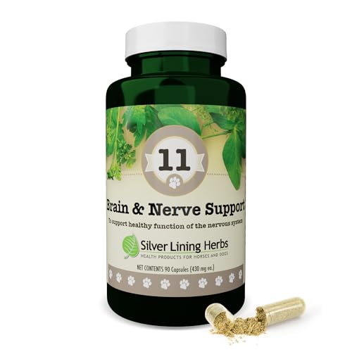 Silver Lining Herbs Brain Health & Dog Nerve Supplements – 11 Canine Herbal Supplement Helps Maintain Central Nervous System, Spinal Cord & Balanced Behavior – 90 Capsules