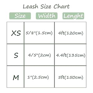 Maca bates halloween day dog leash durable 5 ft44 ft4 ft for small medium large dogs walking accessories  urban country home decor