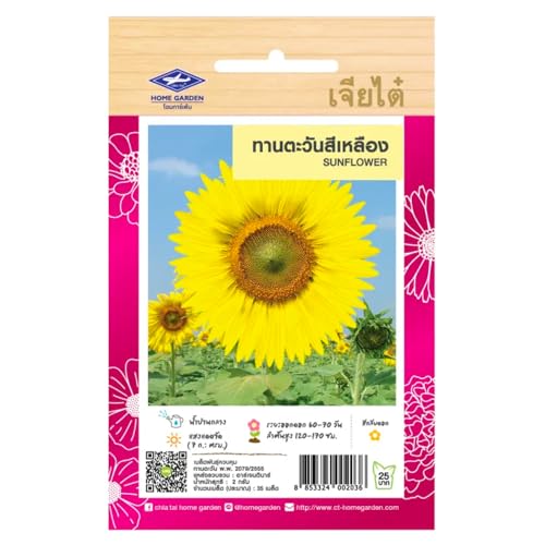 Graines de Tournesol Thaïlandais à Semer – Sunflower Décoratif – 35 graines – CHIA TAI (Home Garden) – Import Thaïlande – Grandes Fleurs Solaires pour Jardin ou Balcon