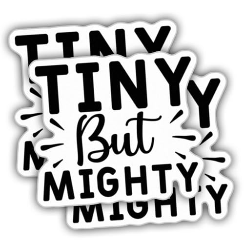 ZANEMIRU (3pcs) Baby Stickers Kid Stickers Tiny But Mighty Cool