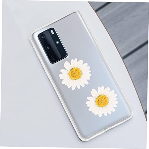 SEWACC 120 Pçs Flores De Margarida Secas Artesanais Brincos Florais Moldes De Velas Suprimentos Flor