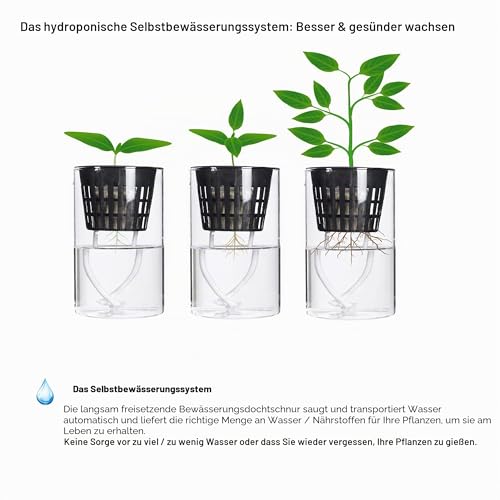 ORIMERC 20 Stk 10cm Netztöpfe Hydrokultur, mit 6m Selbstbewässerungsdocht, Hydroponik Netzbecher Pflanzen Mesh Topf… – Ansicht 6