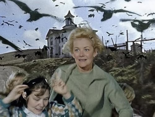 Episode 42: A Corvid Curiosity