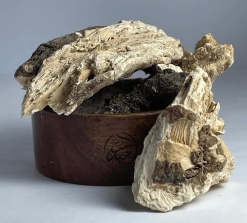 Soapwort Roots عرق الحلاوة g120