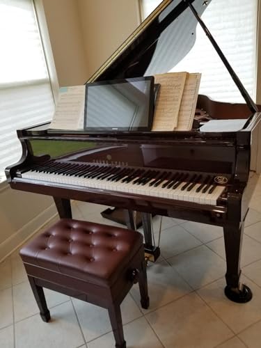 CPS Imports Adjustable Artist Piano Bench Stool in Mahogany with Music Storage