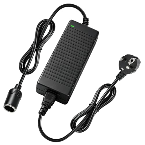 Adaptateur Allume Cigare Secteur 220V vers 12V 10A 120W, Transformateur Convertisseur AC à DC Adaptateur d'alimentation pour Glacière Électrique Voiture, Aspirateur, Gonfleur Pneu et Réfrigérateur