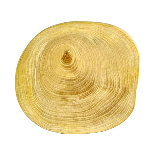 ZPGVWXKO vCpEbh[ugpbh|[^uc[, 86.6mm