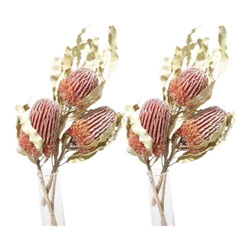 Welcome Logo Flores 2 Ramilletes Banksia Seca Decoración